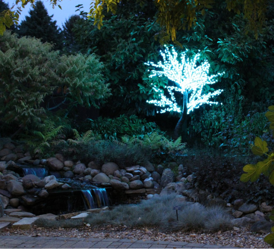 Light Pros