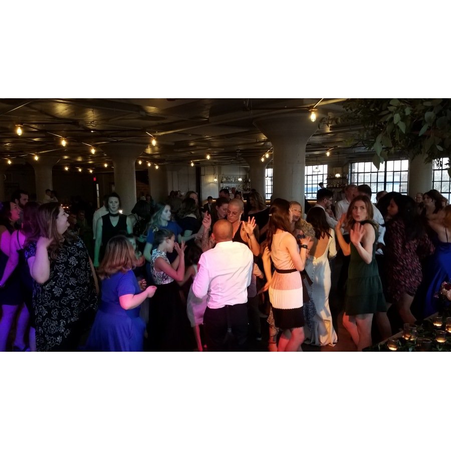Bos Reception
